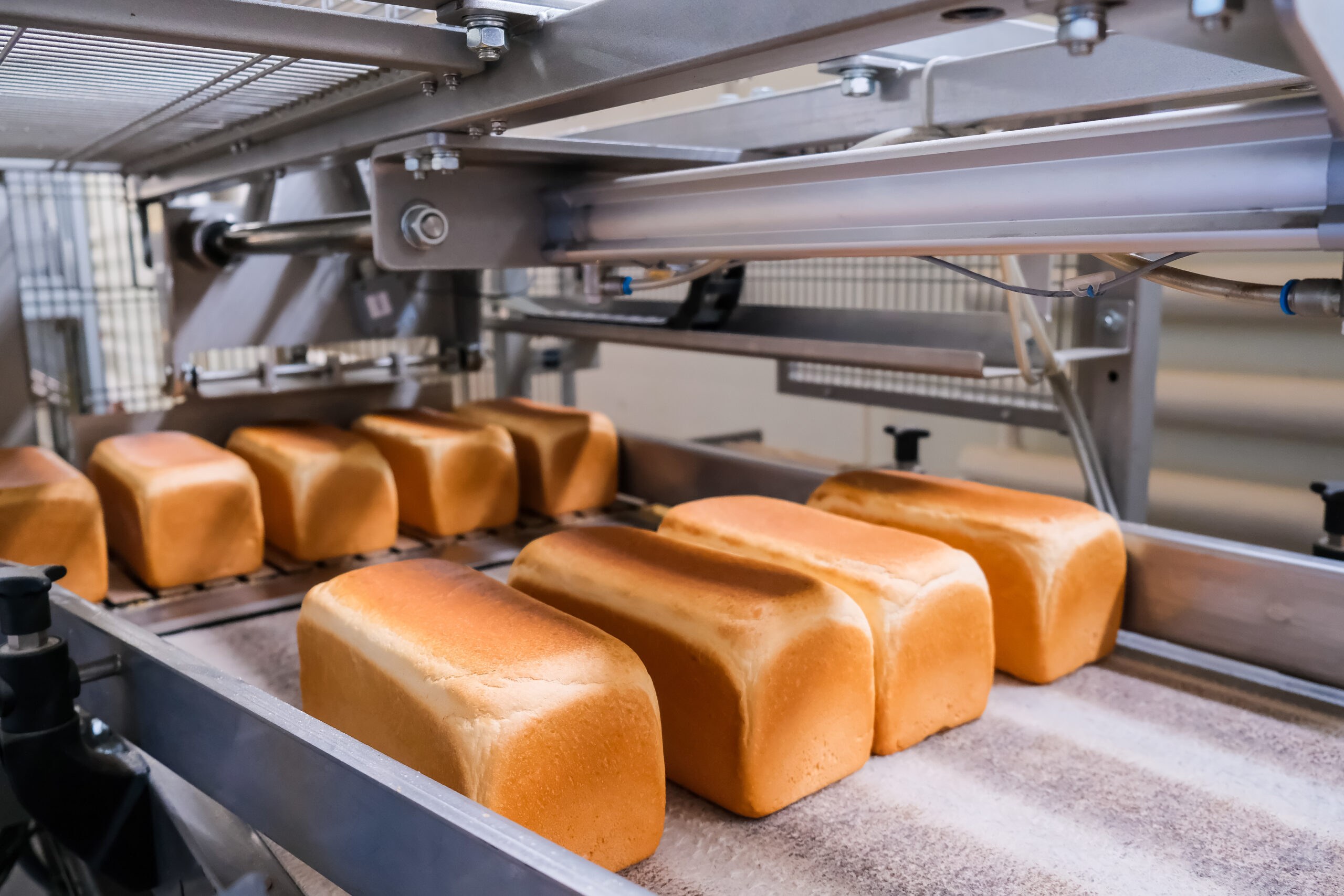Verpackung Toast - Convenience Food Entkeimung im Verpackungsprozess